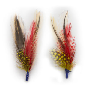 Exotic Bird Feathers