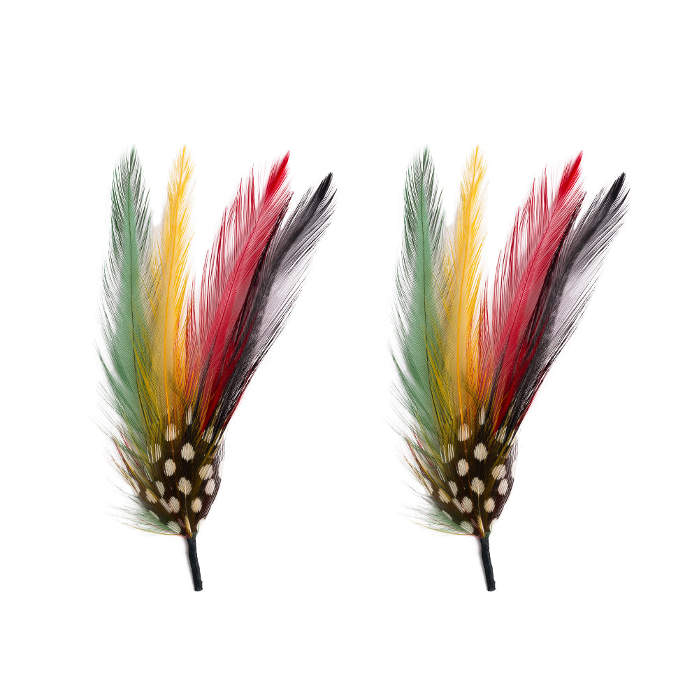 セール！ Feather and Brush：オーストラリア鳥類芸術300年 セール！ Feather and Brush：オーストラリア鳥類芸術300年