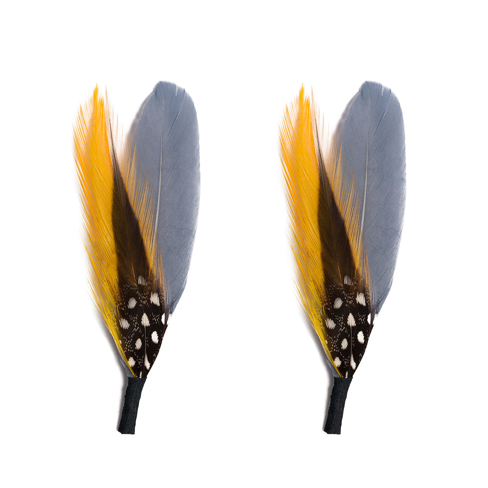 Exotic Bird Feathers